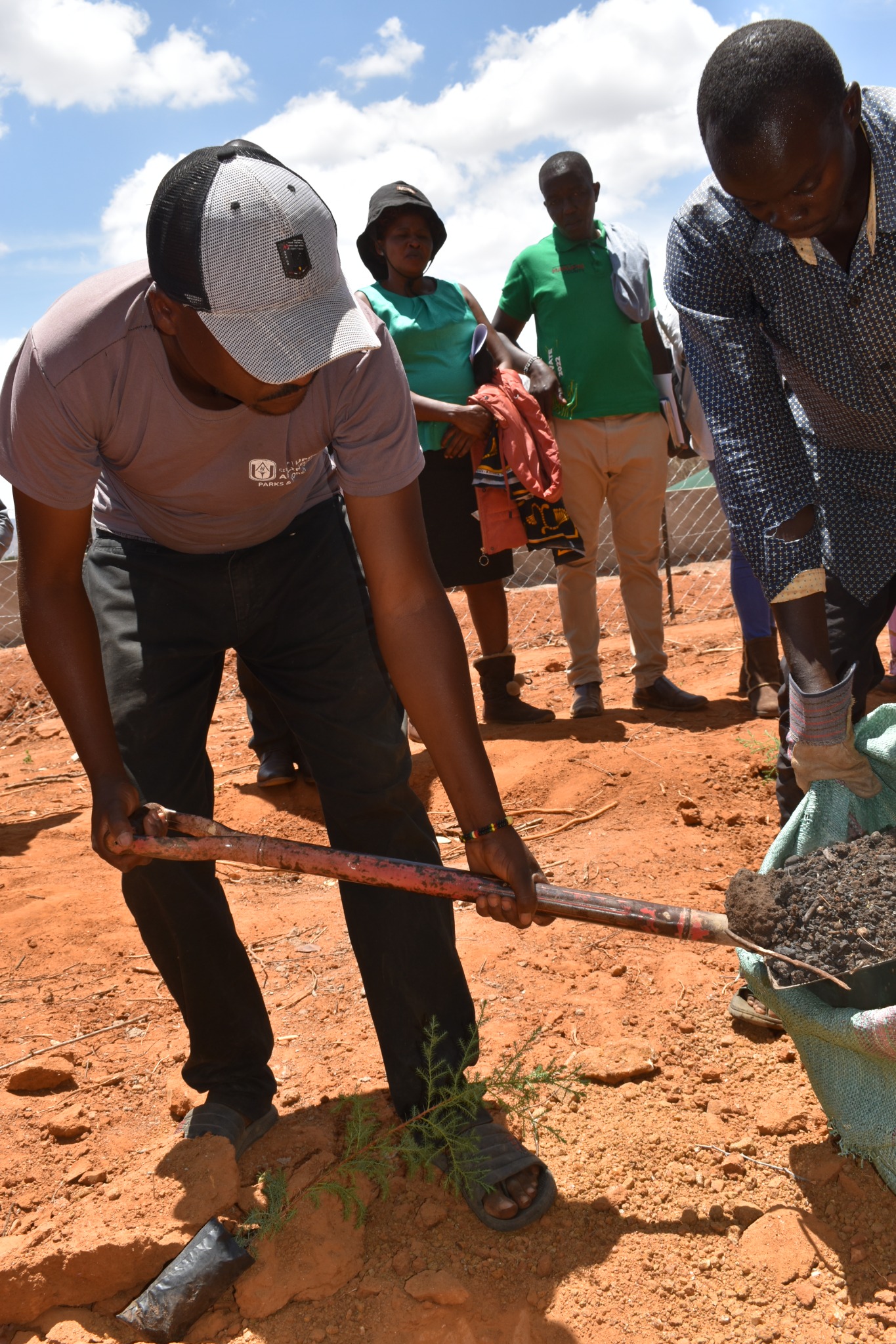 Community members planting seedlings